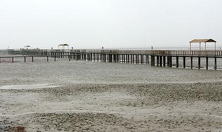 网传CDPR已陷入困境：由于关注DEI和失去高级人才